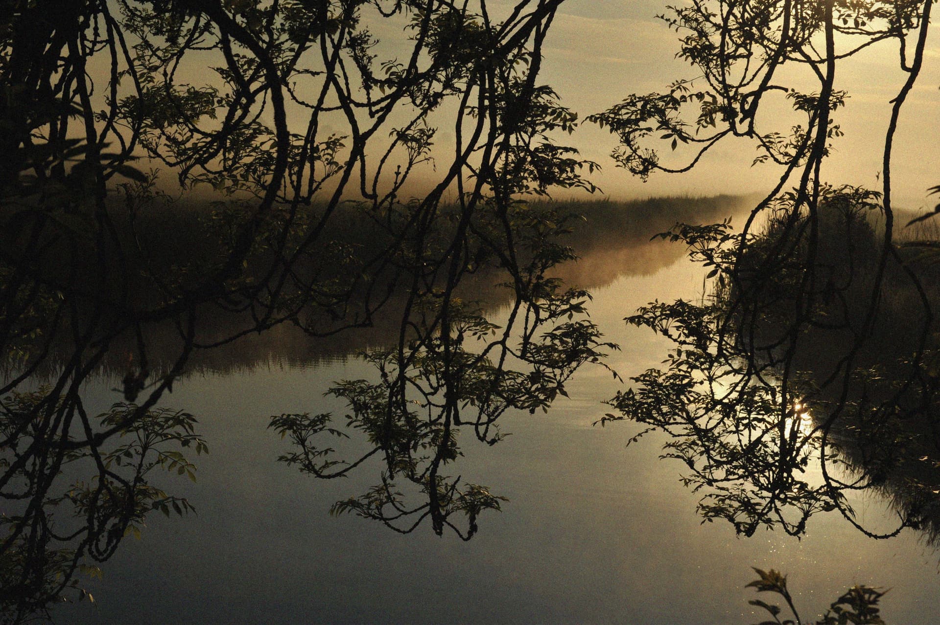 Veersloot, Bergen, Netherlands